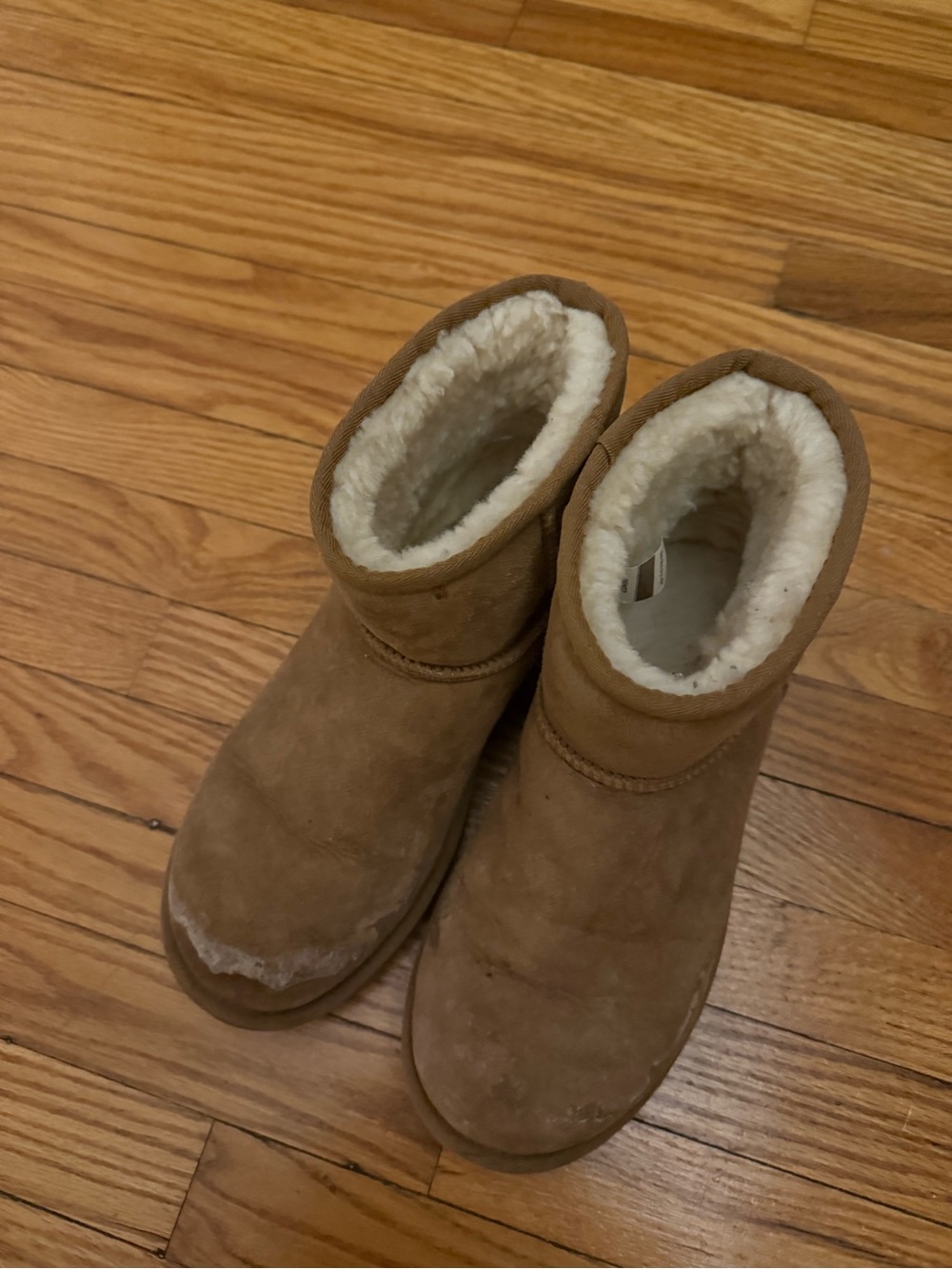 Classic UGG Shearling-Lined Short Winter Boots in Tan